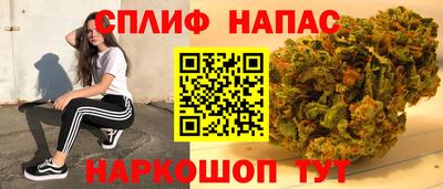 spice Дубна