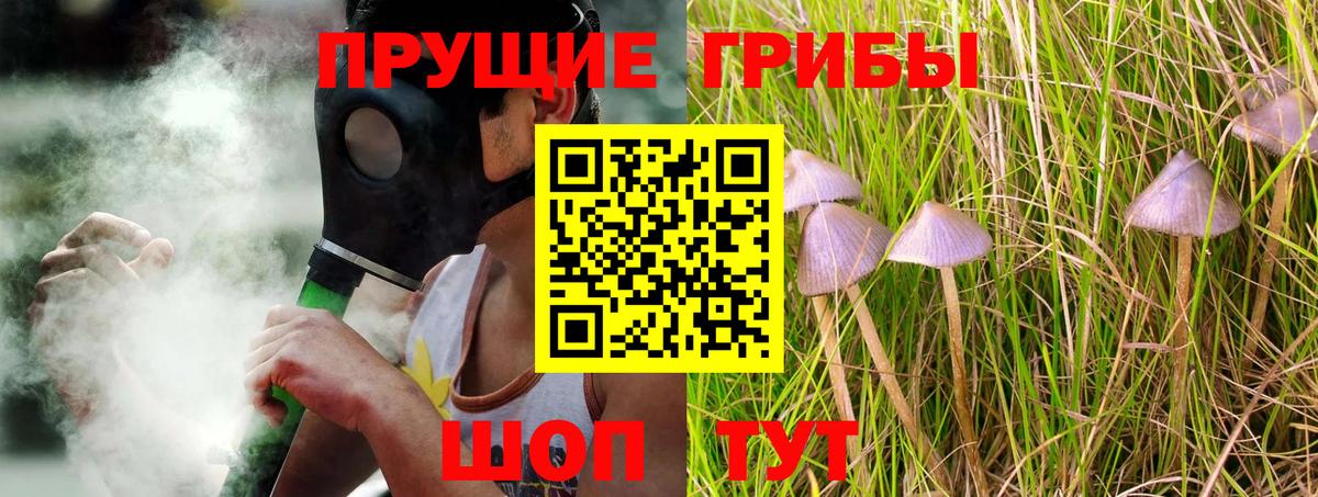 Михайловск  Псилоцибиновые грибы ЛСД  Вход с VPN 